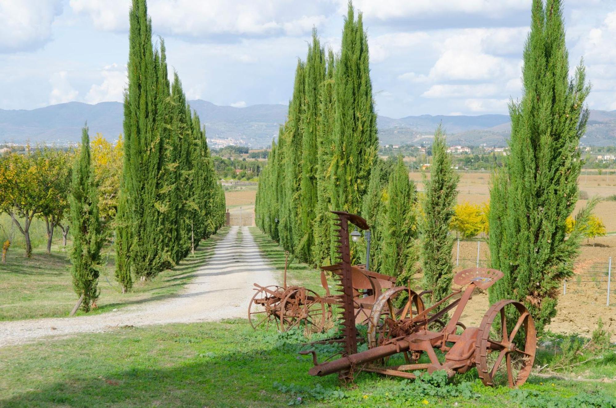 Villa Margherita, relax&wellness you deserve near Lake Trasimeno Cortona Esterno foto